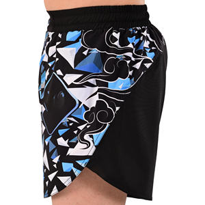 Pantalones cortos MMA para hombre, estampado artístico, cintura elástica, entrenamiento de gimnasio, kickboxing, ligeros, de secado rápido, coloridos, para artes marciales mixtas - Product Image 5