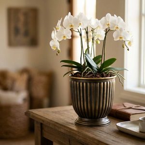 Nouvelle conception de jardinière en laiton de 24 cm pour la décoration de la maison, les hôtels et les mariages - Product Image 2