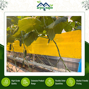 กาวดักแมลงแบบสองหน้า ทนทานต่อรังสียูวี ยืดหยุ่นสูง รูปทรงสี่เหลี่ยมผืนผ้า สำหรับควบคุมแมลงศัตรูพืชและยุง ใช้ได้กับโรงเรือนและฟาร์ม - Product Image 2