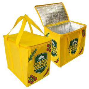 Sac isotherme personnalisé avec logo, pliable, imperméable, non tissé, 20L 24L, sac à lunch pour extérieur, fermeture éclair écologique, OEM - Product Image 1