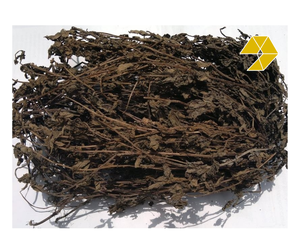 Hojas de Mesona Secas para Gelatina de Hierba, Hojas de Mesona de Vietnam para Bebidas Refrescantes y Postres de Gelatina, Suministro al por Mayor - Product Image 1