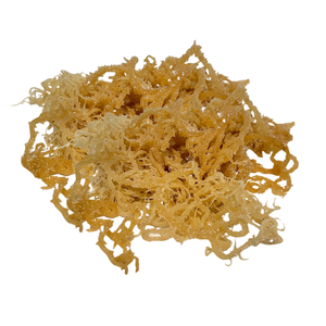 EXPAD 100% <b>Organic</b> <b>Sea</b> <b>Moss</b> Fresh Marine Mineral <b>Gel</b> for Food & Cosmetics Dried & Seasoned Bulk Packed - Product Image 3