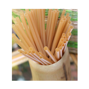 Pailles écologiques en bagasse de canne à sucre pour la réduction du plastique et une vie verte - Product Image 5