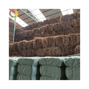 Tiges et feuilles de gelée d'herbe noire séchées de qualité export en vrac pour la fabrication de desserts à base de gelée d'herbe en usine - Product Image 5