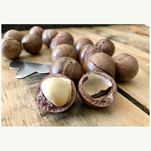 Nueces de Macadamia al Por Mayor a Precio de Fábrica, Nueces de Macadamia Tostadas - Product Image 2