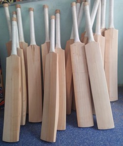 Bate de Críquet Elite Kashmir Willow, Hoja Resistente y Duradera, Equilibrio Perfecto, Ligero, Golpe Potente, Bate de Práctica - Product Image 1