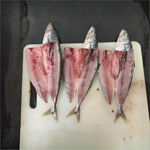 Pescado Atún del Pacífico Congelado IQF de Calidad Superior, a Granel, 100% Seguro para Alimentos, Suministro al por Mayor, Cajas de Exportación, Grado Premium - Product Image 2