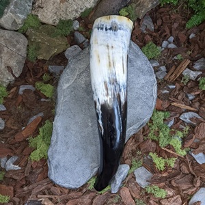 Wholesale High Quality Natural Viking Drinking Horn Handmade Eco-Friendly Fully Polished Agate High Quality Natural Horn - Product Image 2