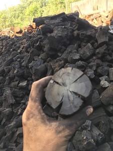 EXTRA PREMIUM COFFEE WOOD CHARCOAL | CLEAN BURNING • WHITE ASH • READY FOR WORLDWIDE EXPORT - Product Image 1