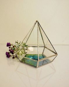 Terrario geométrico de vidrio de gran tamaño, planta de aire, Terrario de vidrio en venta - Product Image 4