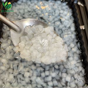 เยลลี่มะพร้าวพรีเมียมจากเวียดนาม – คุณภาพสำหรับการส่งออก - Product Image 4