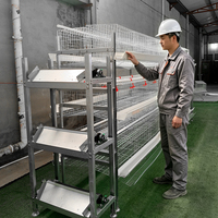 Cage à poules pondeuses automatique de type H pour élevages avicoles commerciaux, équipement de ponte des œufs