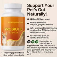 Poudre Probiotique Bio OEM/ODM pour Chiens et Chats – Soutien Digestif Naturel, Renforcement Immunitaire, Soutien Intestinal – 4 Milliards d'UFC – Action Rapide