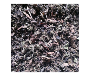 Buy From Vietnam <b>Dried</b> <b>grass</b> jelly Manufacturer <b>Dried</b> <b>grass</b> jelly Competitive Price For Global Wholesale - Product Image 1