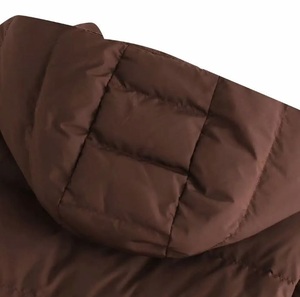 Chaqueta Acolchada con Capucha Marrón, Cierre de Cremallera, Corta, Informal, de Invierno, Resistente al Viento, Relleno de Poliéster, Corte Ajustado, Unisex - Product Image 3
