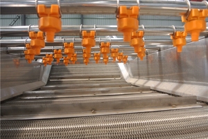 เครื่องซักผ้าสตรอเบอร์รี่แบบฟองสแตนเลสขนาดเล็กแบบอัตโนมัติสำหรับผักผลไม้พริกแอปเปิ้ล - Product Image 6