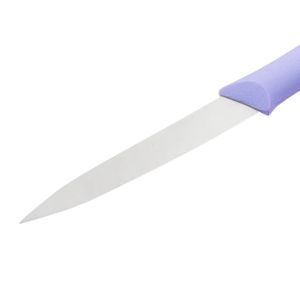 Couteaux à éplucher les fruits violet lavande avec lame droite argentée lisse et manche fin pour couper et éplucher les légumes - Product Image 6