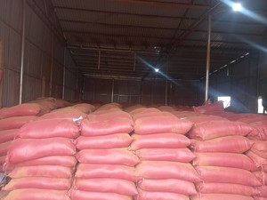 ผงธูปขายส่งราคาแข่งขัน ผงอาการ์บัตติคุณภาพสูง 100% สำหรับทำธูปเพื่อการส่งออก - Product Image 5