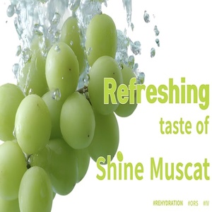 เครื่องดื่มเกลือแร่ LINGTEA รส Shine Muscat แบบซอง 11.4 กรัม (40 กิโลแคลอรี่) * 10 กล่อง ผลิตในเกาหลี - Product Image 2