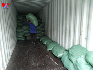 Venta al por mayor de algas Sargassum secas deliciosas, superventas para caballos, ganado, cerdo, pescado, perro, uso al mejor precio, bolsa/Sra. Lima - Product Image 5