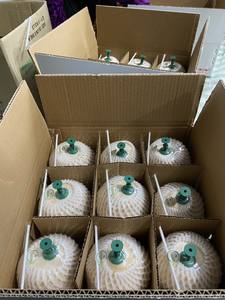 Vietnam Natural Sweet Coconut - Pull Tab Hidratación - Product Image 3