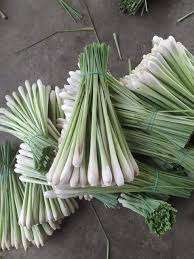 IQF <b>Frozen</b> LEMONGRASS- SLICED LemonGrass/ CHOPPED Lemongrass for Export <b>Frozen</b> <b>Vegetables</b> Product - SUPPLIER VIETNAM/ Ms. Selina - Product Image 4