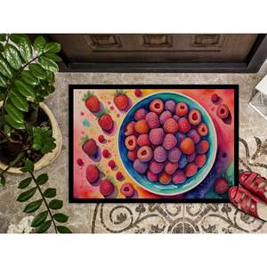 Tapis de porte lavable antidérapant à poils bas de framboises colorées 24H X 36W tapis d'entrée extérieur intérieur pour porte d'entrée 24H X 36W - Product Image 3