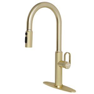 Rubinetto da Cucina Estraibile - Product Image 1