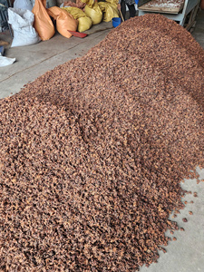Anís estrellado entero seco, especias crudas de Vietnam, hierbas individuales para cocinar, uso herbal, 24 meses de duración. - Product Image 6