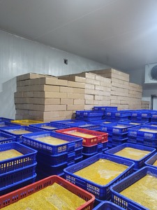 IQF Passion Fruit Seeds and <b>Pulp</b> Frozen from Vietnam – Leading Export Supplier for Beverage, Dessert, Bakery and Food Industry - Product Image 4