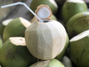 Fabricante de Agua de Coco Orgánica Congelada al por Mayor - Product Image 1