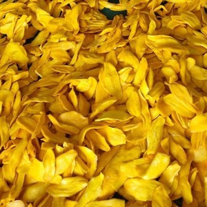 Chips de mangue séchée Golden Sweet Mango Idéal pour les applications de l'industrie alimentaire et de snacking au Vietnam - Product Image 1