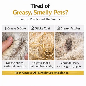 Champú y Jabón Corporal Orgánico Biodegradable y Ecológico para Mascotas, Control de Grasa, Antibacterial, con Edelweiss, para Perros y Gatos, Venta al Por Mayor - Product Image 5