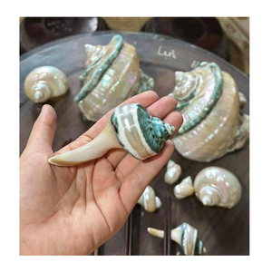 Porta palillos de concha de caracol hecho a mano con concha natural de Vietnam para comidas japonesas y decoración elegante de la mesa. - Product Image 4
