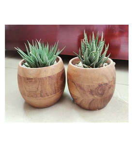 Eco-Friendly Wood <b>Planter</b> Pot Solid Wood <b>Vegetable</b> Flower Pots Home Outdoor Planting Boxes Best Selling Sale - Product Image 3
