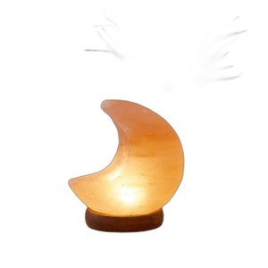 Lámpara de Sal del Himalaya de Primera Calidad, Tallada en Cristal Natural - Product Image 3