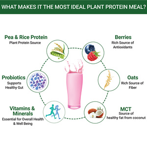 Batido Sustituto de Comida a Base de Plantas en Polvo 500g Sabor Bayas Mixtas 17.5g de Proteína con Probióticos, Fibra, MCT, DHA de Algas - Product Image 4