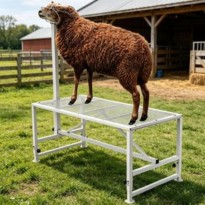 Supporto Professionale per Bestiame, Altezza Regolabile, Materiali Durevoli in Ferro, Acciaio e Acciaio Inossidabile per Suini e Bovini, per Uso Agricolo - Nuovo e Usato - Product Image 5