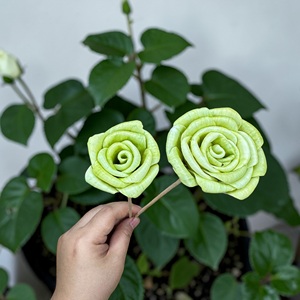 ดอกไม้โซล่าวูด VADEE SOLA WOOD FLOWER ทำมือ งานฝีมือแบบยั่งยืน ดอกกุหลาบสีเขียวอ่อน ขนาด 8.5 ซม. ทำจากเส้นใยพืชเซสบานีอา - Product Image 3