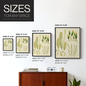 Arte de pared costera de madera maciza Vintage-'Sea Grass I' impresión enmarcada decoración del océano estilo Vintage elegante Impresión de Arte de pared de hierba marina - Product Image 3