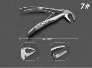 Pinzas de Extracción Dental de Acero Inoxidable de Alta Calidad OEM, Instrumento Quirúrgico Manual Reutilizable de Clase I, Logotipo Personalizado de Fábrica - Product Image 3