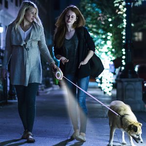 Guinzaglio Retrattile per Cani da 16FT con Torcia RGB, Guinzaglio Estensibile per Passeggiate con Animali Domestici, 2 Rotoli di Sacchetti per Rifiuti, Adatto per Sacchetti per Rifiuti Domestici - Product Image 3