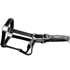 Harnais en cuir pour cheval, têtière réglable, équipement d'entraînement durable, noir, en cuir rembourré, bandeau frontal en cuir anglais. - Product Image 5