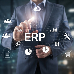 Services professionnels de systèmes ERP : planification des ressources de l'entreprise, automatisation des flux de travail et intégrations numériques évolutive - Product Image 2