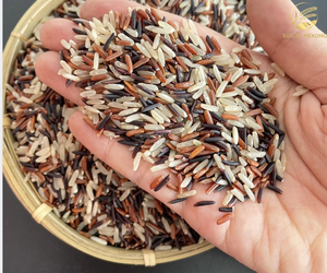 Arroz Largo Grano Seco Saludable de Textura Suave, Sur del Mekong (Someko), 2 Años de Caducidad, Cosecha Nueva de Vietnam, 5% de Grano Partido, 14% de Humedad Máxima - Product Image 4