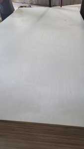 Contrachapado de abedul para interiores de hoteles, calidad de primera clase, precio competitivo, emisión de CO2, 1 año de garantía. - Product Image 5