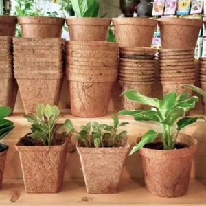 ORGANIC COCONUT FIBER <b>POTS</b> – ECO FRIENDLY SEEDLING TRAYS & <b>POTS</b> SUPPLIER - Product Image 5