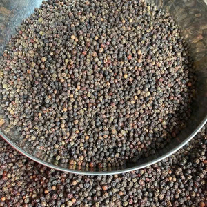 พริกไทยดำแห้งคุณภาพสูง FD แบบเม็ดเต็ม ไม่ใช่พืช GMO 550 กรัม/ลิตร แหล่งกำเนิดเวียดนาม มาตรฐานส่งออก เกรด ASTA อายุการเก็บรักษา 24 เดือน - Product Image 1