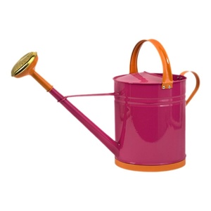 Arrosoir en métal écologique pour plantes de jardin, bec long, réutilisable, antirouille, équipement d'arrosage - Product Image 5