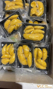 Durian Orgánico Congelado IQF a Granel, Conservado en Salmuera, Ingredientes de Fruta Tropical para Helados, Panadería y Bebidas, Vietnam - Product Image 1
